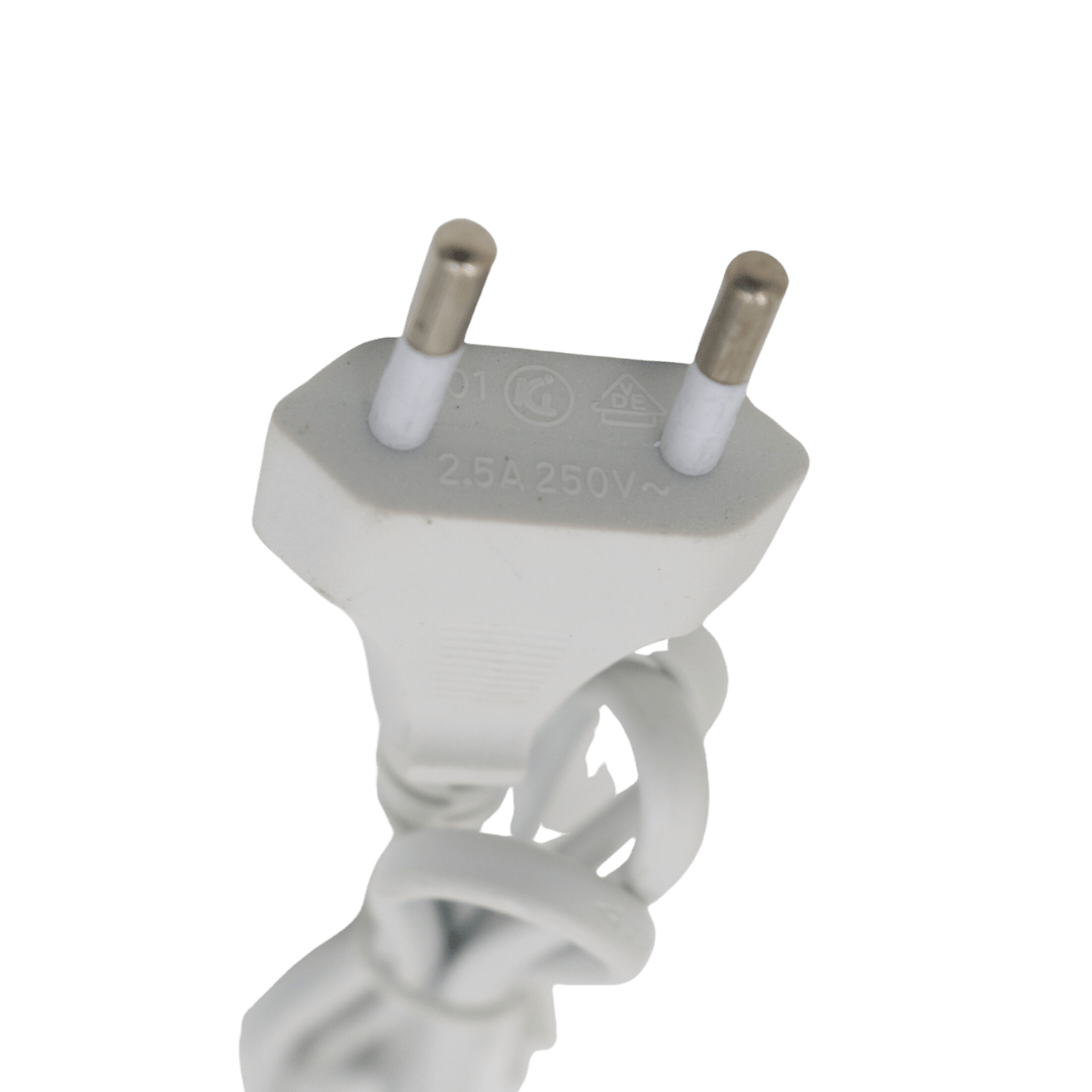 Close-up of EU 2 x round pin plug