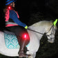 Lateral night time view of a horse and rider with trixski LED Light in use on a riding gilet and on a riding boot