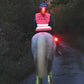 Rear night time view of a horse and rider with trixski LED Light in use on a riding gilet and on a riding boot